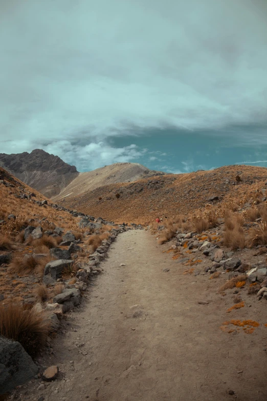 a trail runs through the desert among mountains