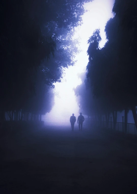 three people walk through the fog in a tree covered area