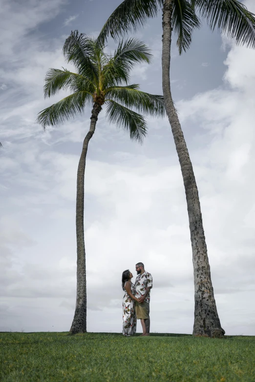 a man standing under palm trees on a lush green hillside