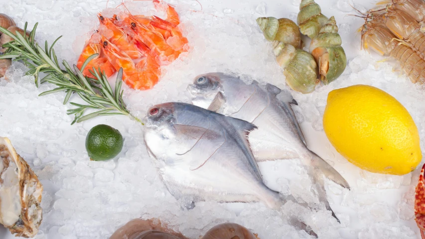 fish, lemons, shrimp, crab and other foods on ice