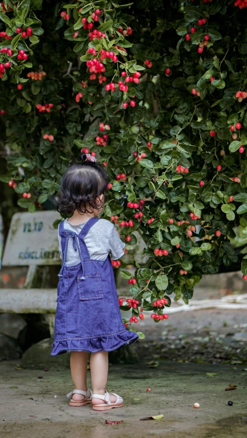 a little girl standing by some red flowers