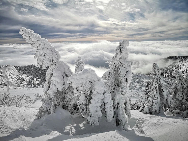 the view of trees covered in snow in front of a cloud filled sky