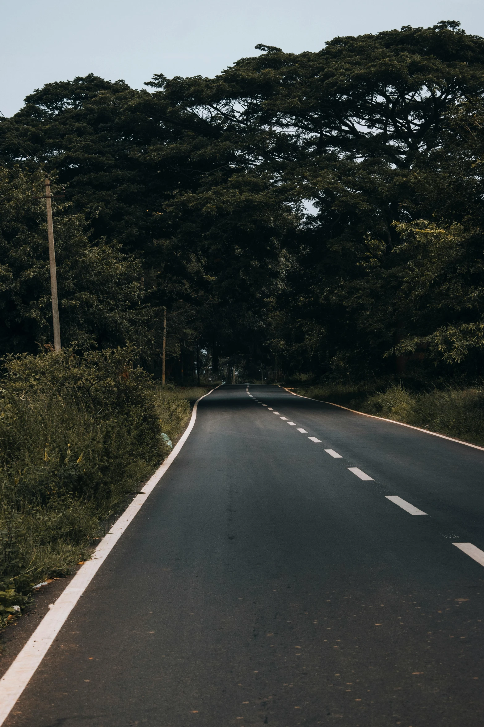 a long road leads to trees and bushes