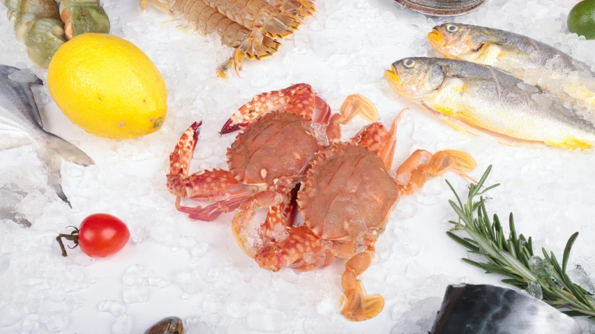 a variety of fresh fish sits on ice