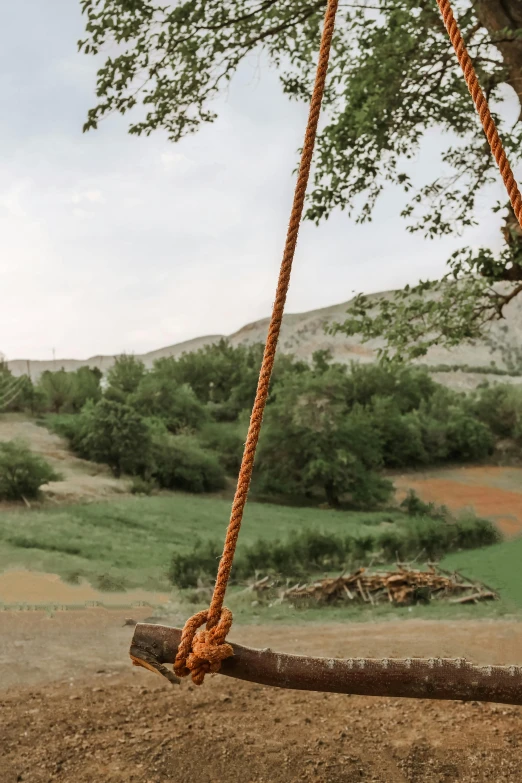 a wooden tree swing next to a green hillside