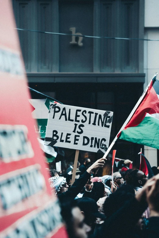 several people protesting against palestine on the side of a building