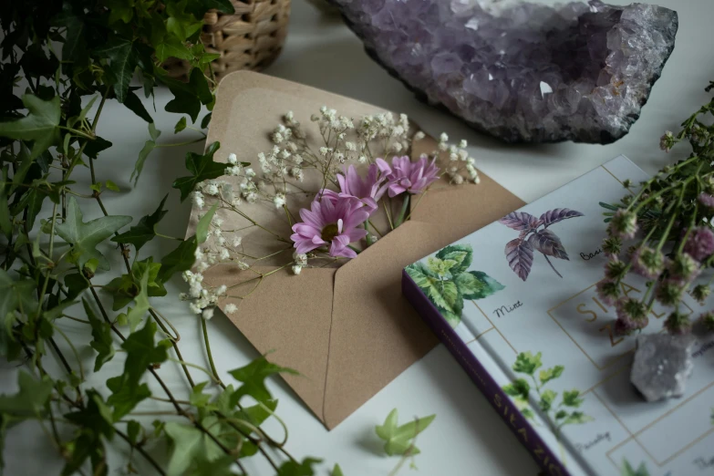 purple flowers are displayed on paper and on a table