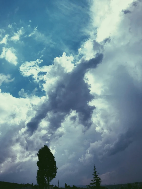 a tree with clouds in the background