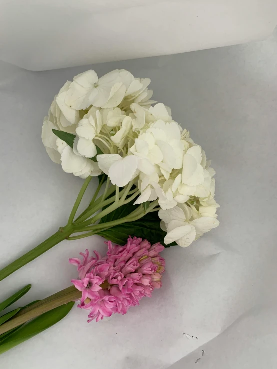 white and pink flowers laying on paper near each other