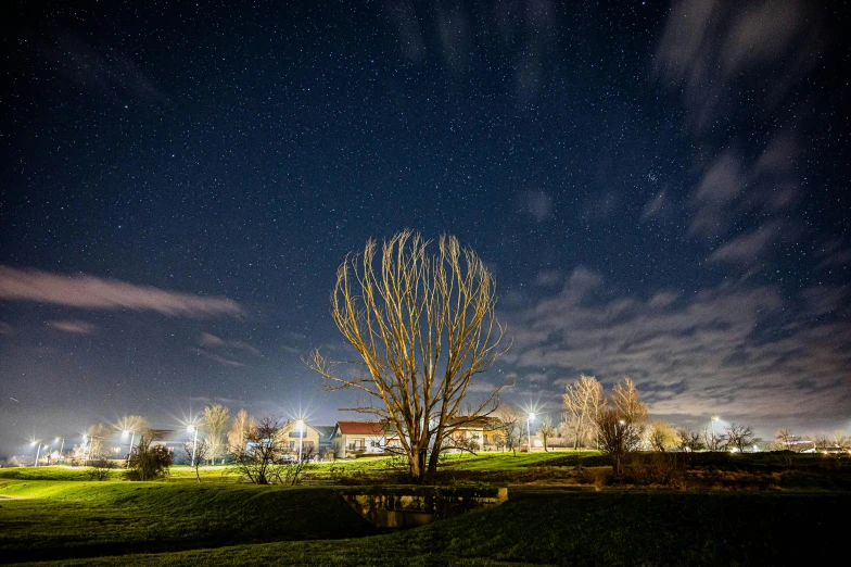 a tree in the foreground of a dark field at night