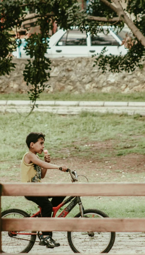 a boy riding his bike under a tree in the park