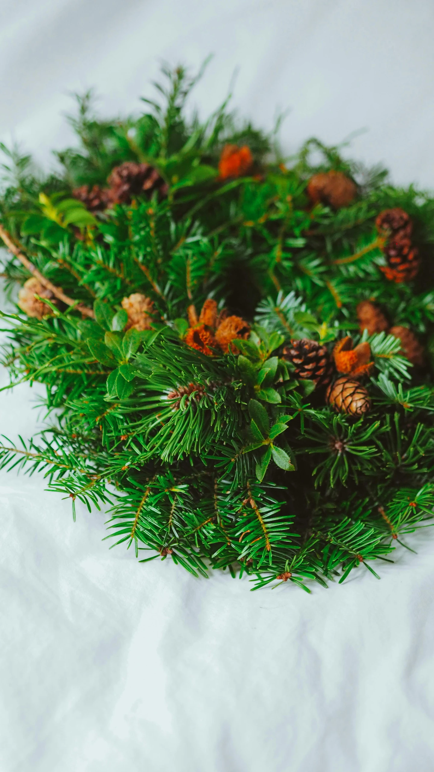 a circular of evergreen leaves and pine cones with orange berries