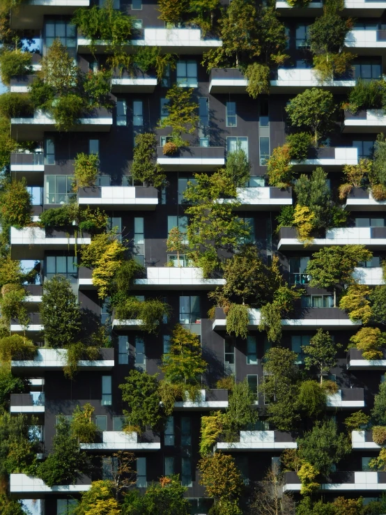 the vertical wall of green balconies on top of a building