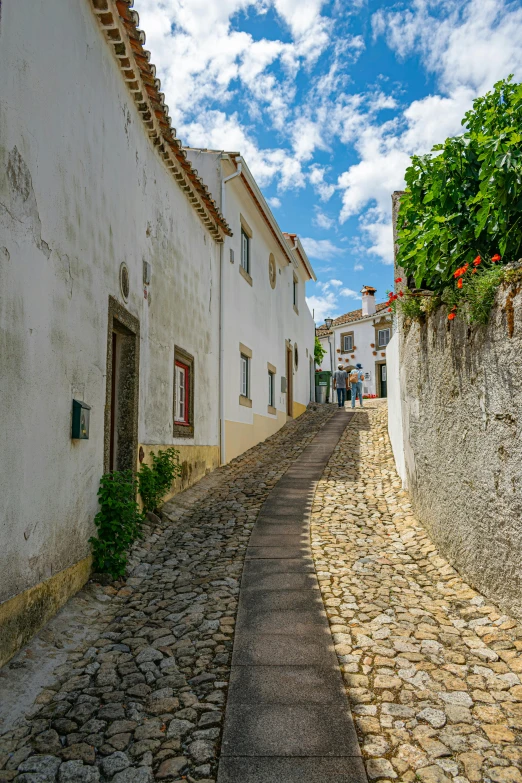 a street with cobblestone lined buildings next to a tree