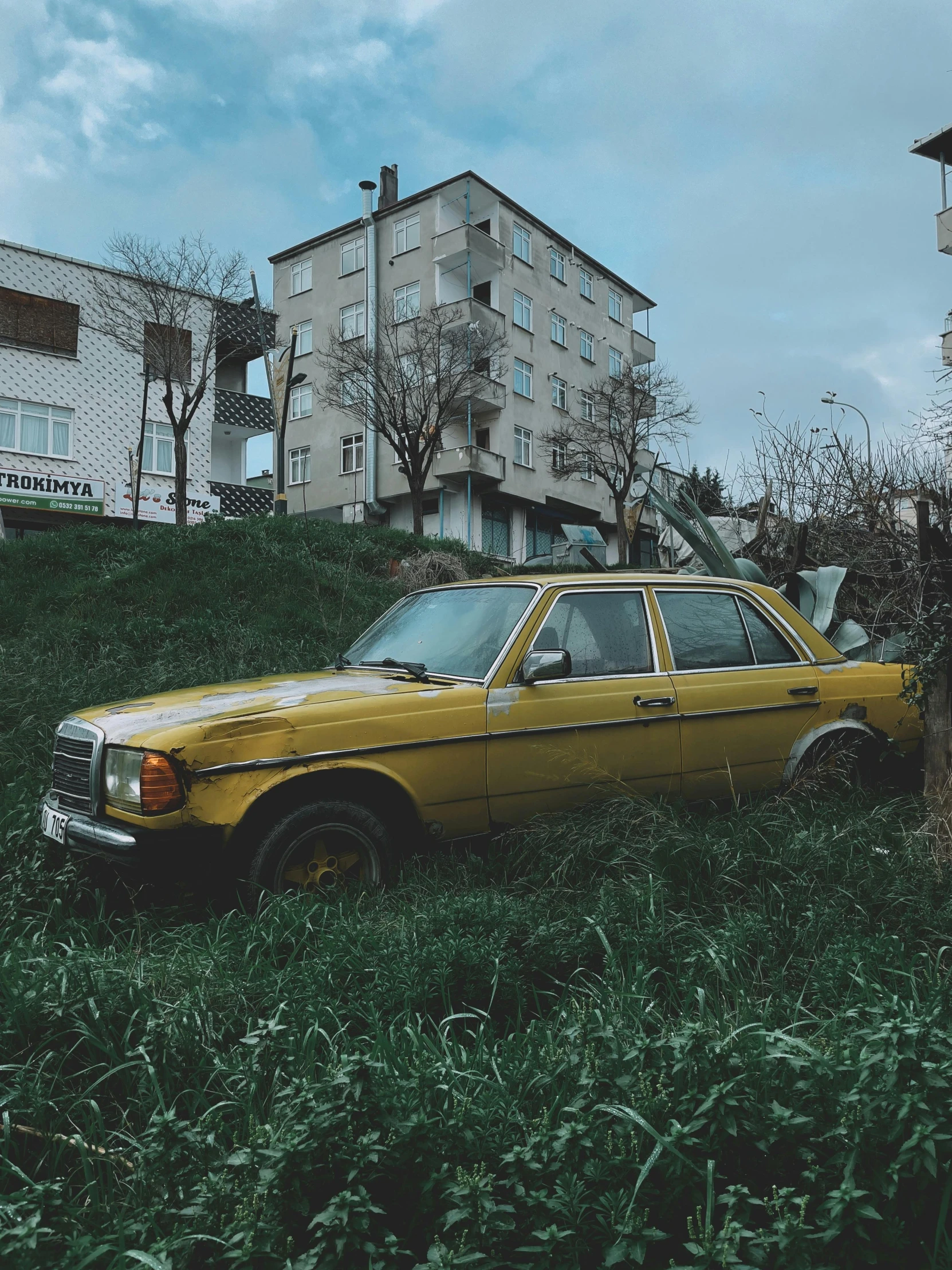 the parked car is right next to the grass in front of the building