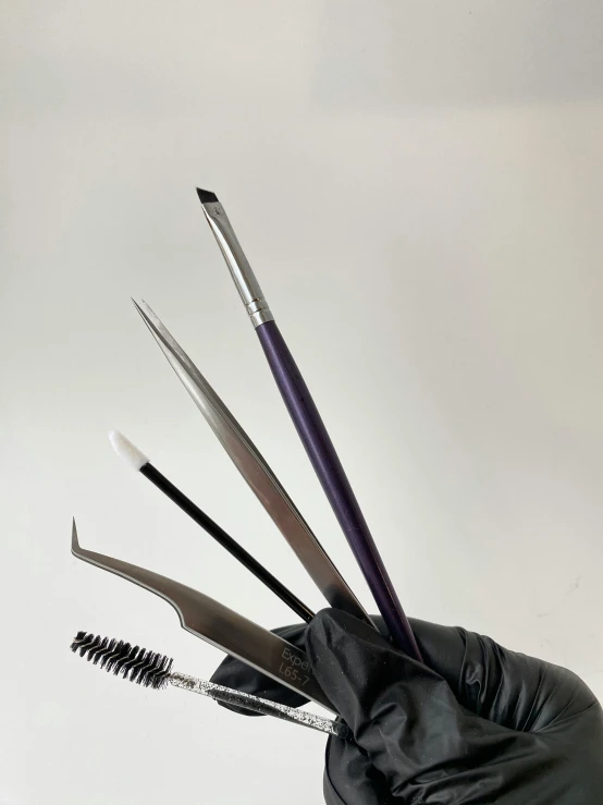 a person wearing black gloves holding several different sized brushes