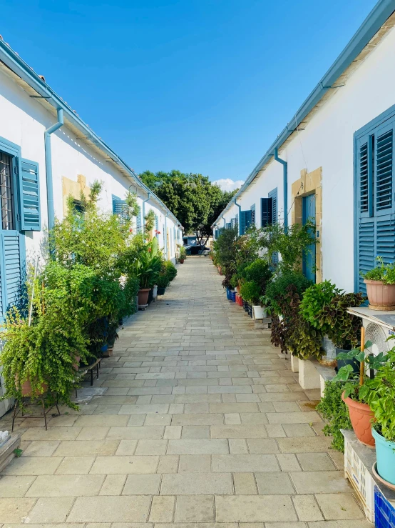 several planters lined up against an outside wall