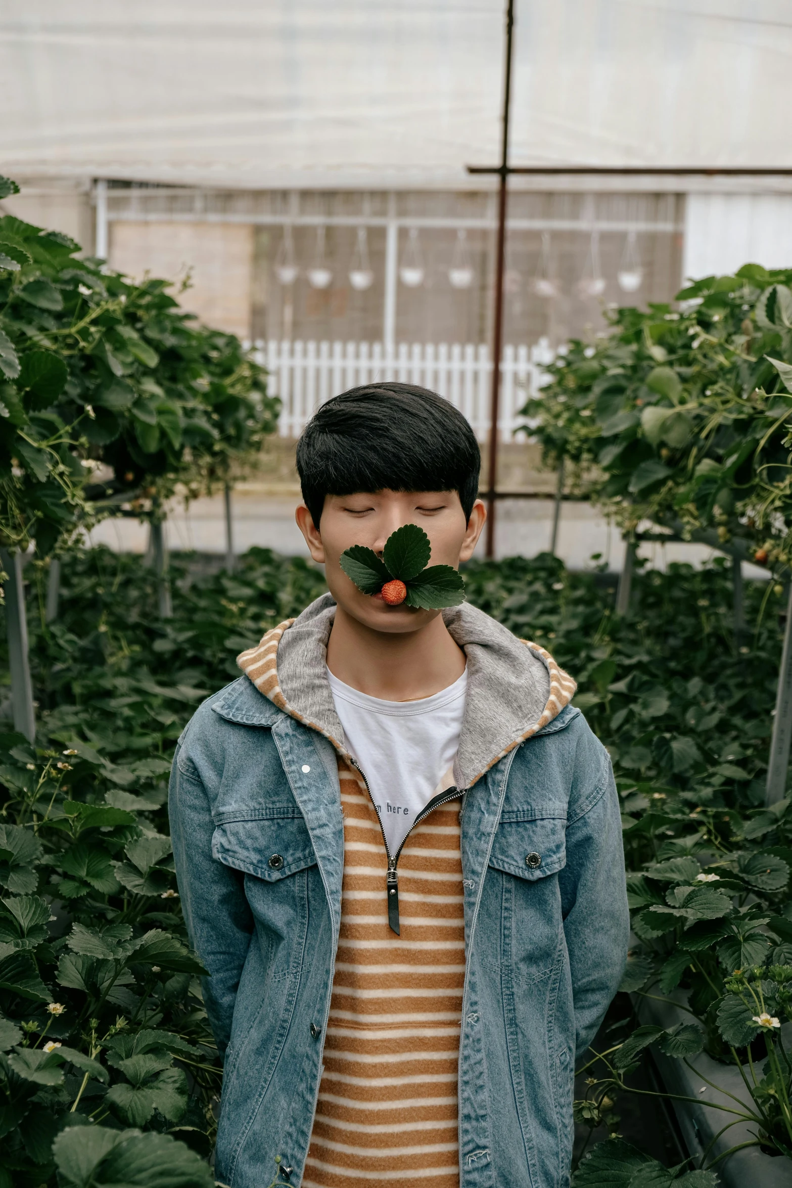 a man wearing a denim jacket and hoodie in front of a growing plant