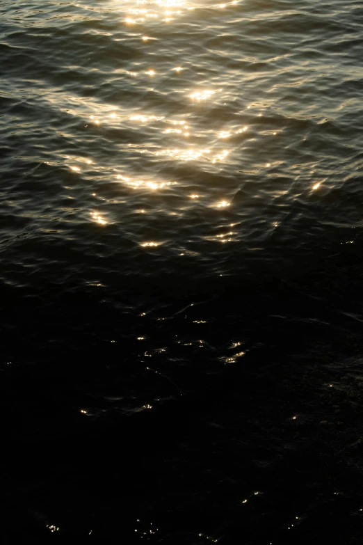 the reflection of the sun shining on the water