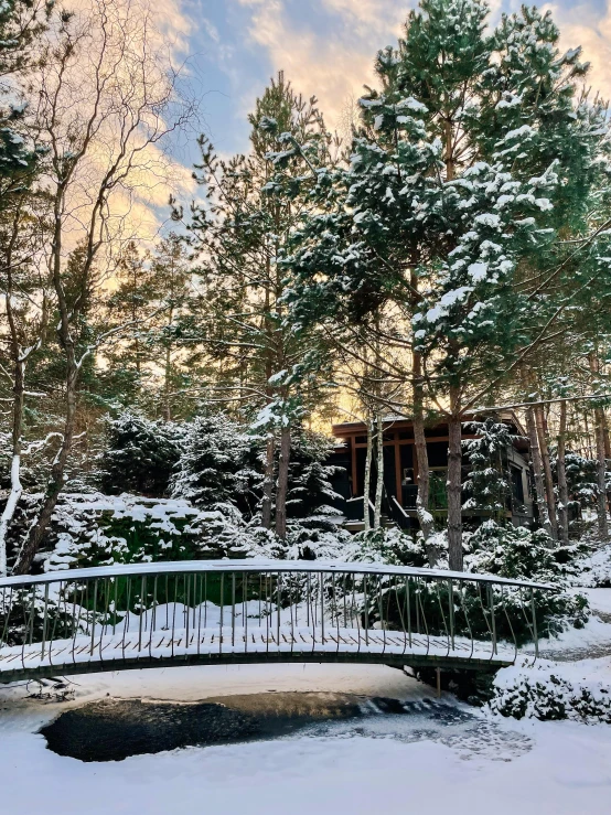 an artificial snow - covered bridge with a view of the back yard, trees and buildings in the background