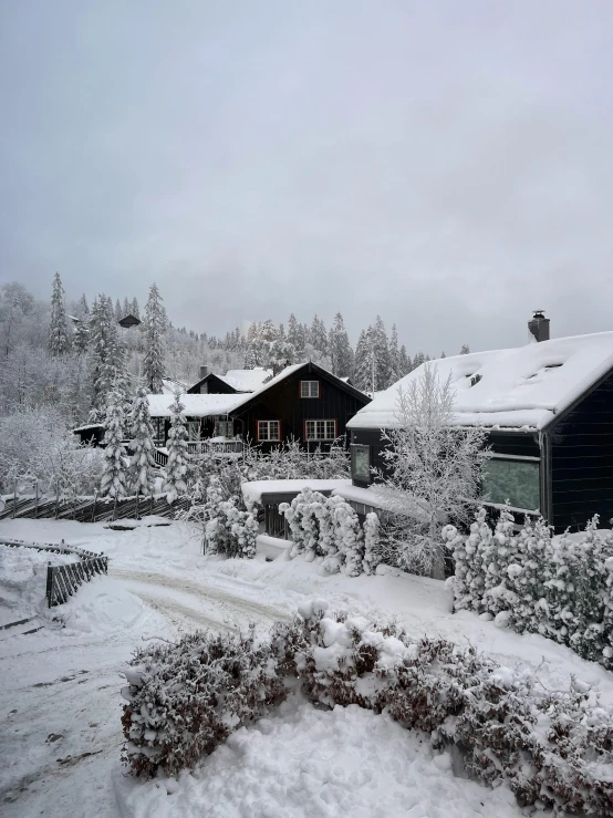 a snow covered driveway leading to a house