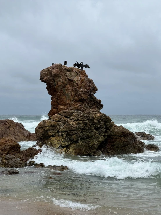 two birds sitting on the rocks in the ocean