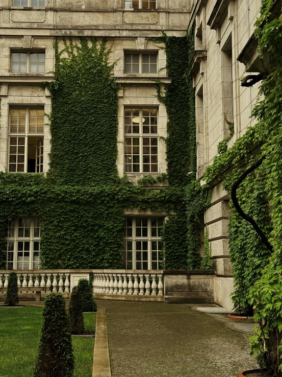a large building covered in ivy, surrounded by small bushes