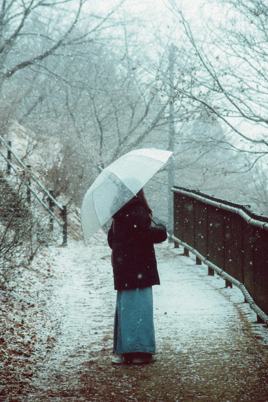 a woman standing on a bridge in the snow holding an umbrella