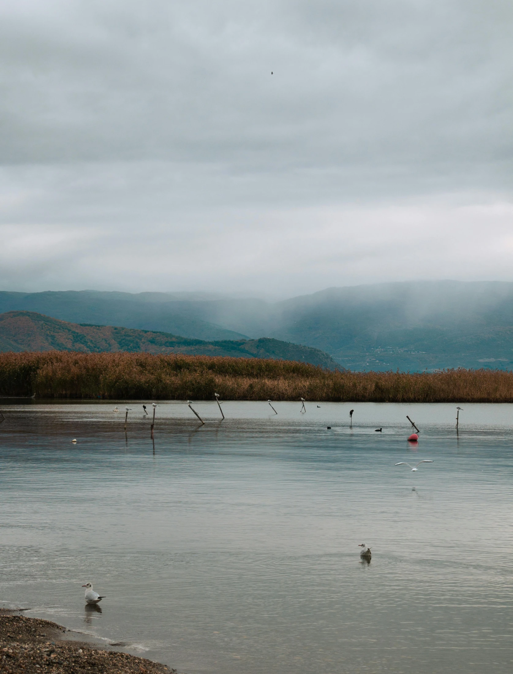 an image of a lake surrounded by hills