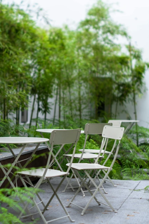 four lawn chairs are sitting beside the table in the forest