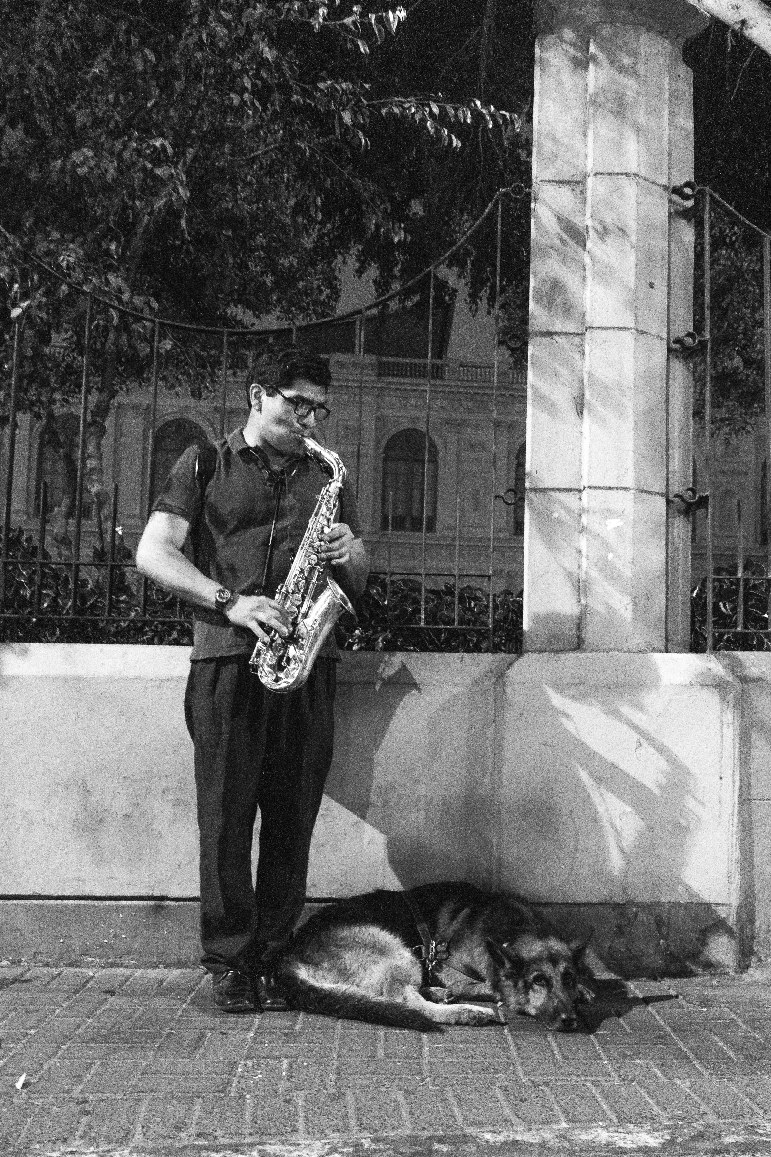 a man playing the saxophone near a cat on the ground