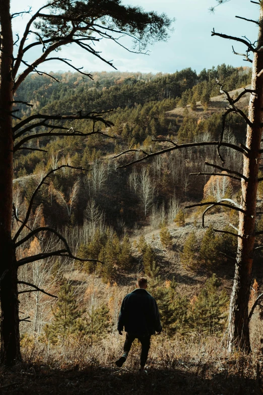 a man is standing amongst the trees and bushes