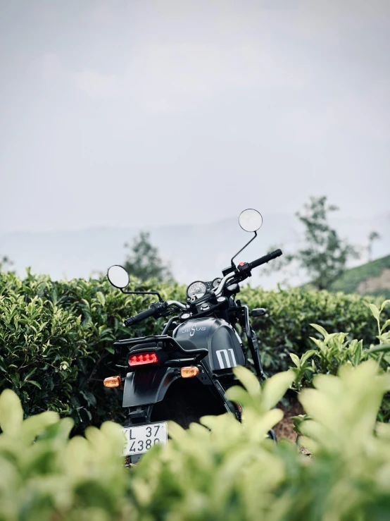 a motor cycle is parked behind bushes