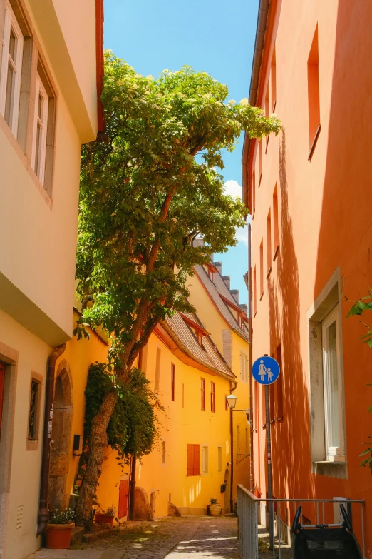 an alley way between buildings with trees on either side