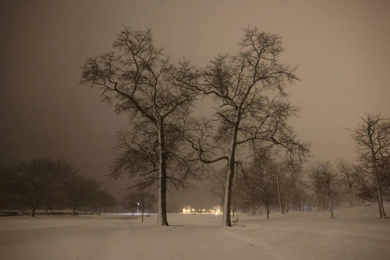 a winter scene with snow and trees at night