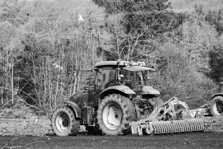 a tractor is traveling along a tree - lined path