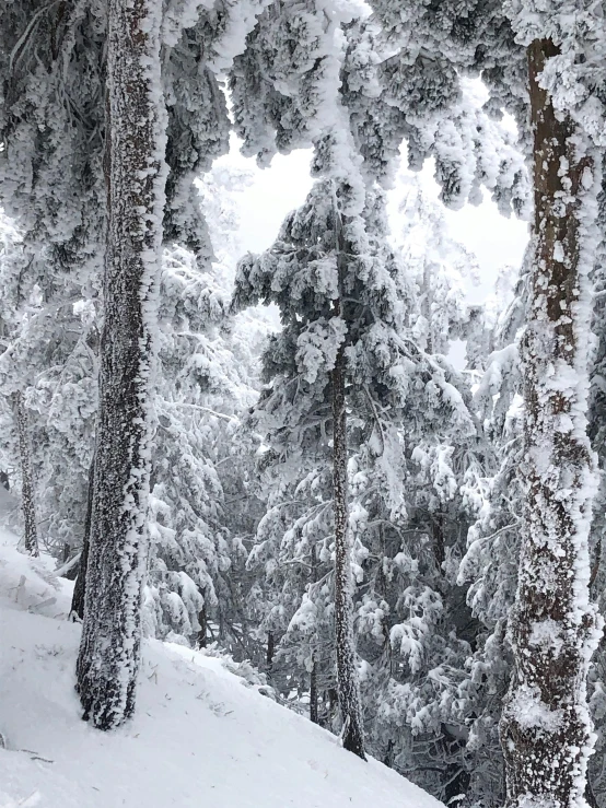 a man riding down a snow covered ski slope