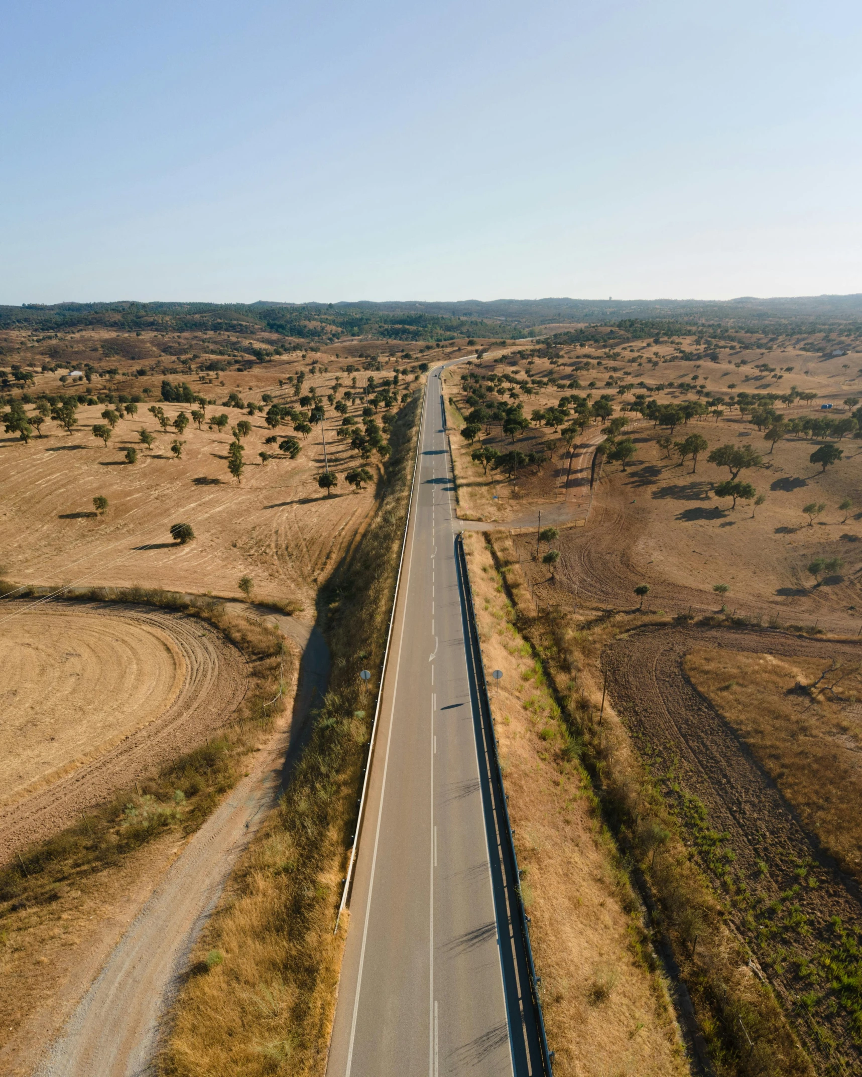 an open road on the horizon with dry grass and trees