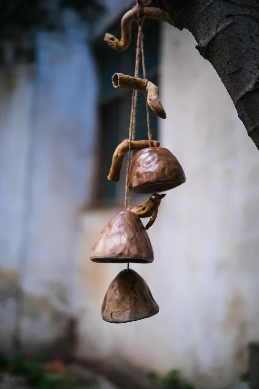 three old bells are hanging from a tree