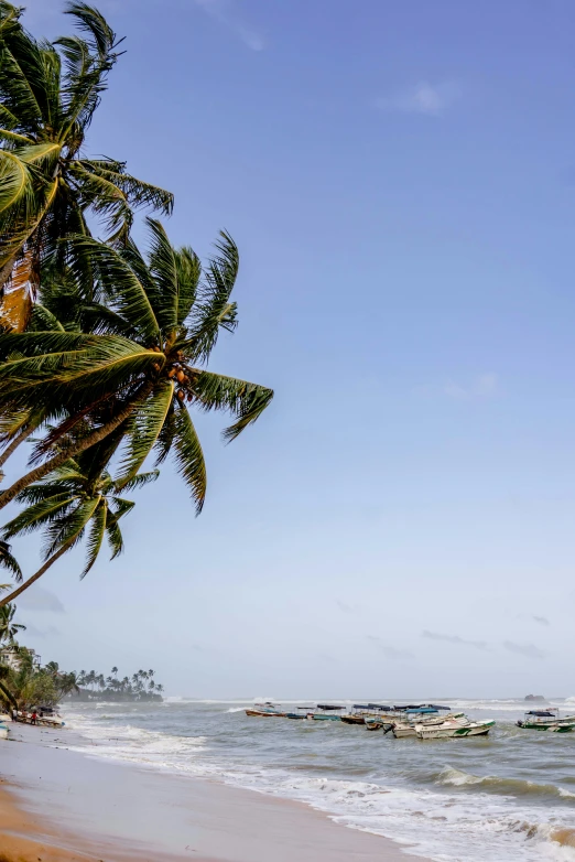 a beach with boats on it and palm trees