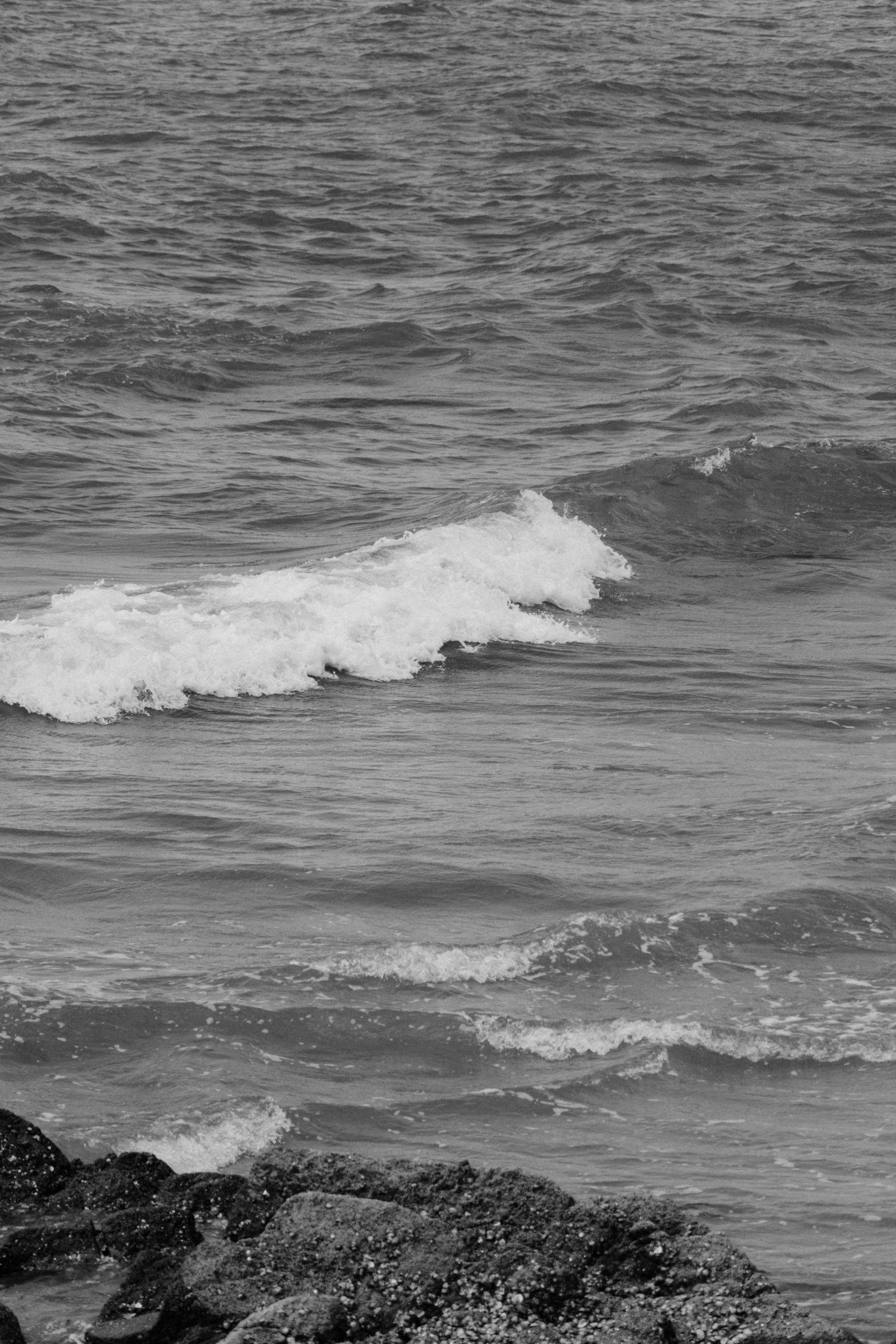 surfer with his surfboard standing near the edge of the water