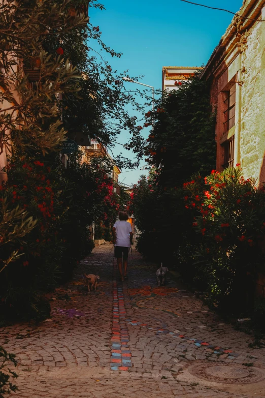 an alley way with some plants, flowers and a man walking the way