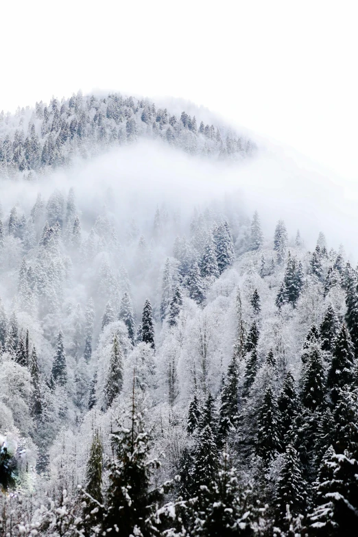 snow covers the mountainside in this winter scenery