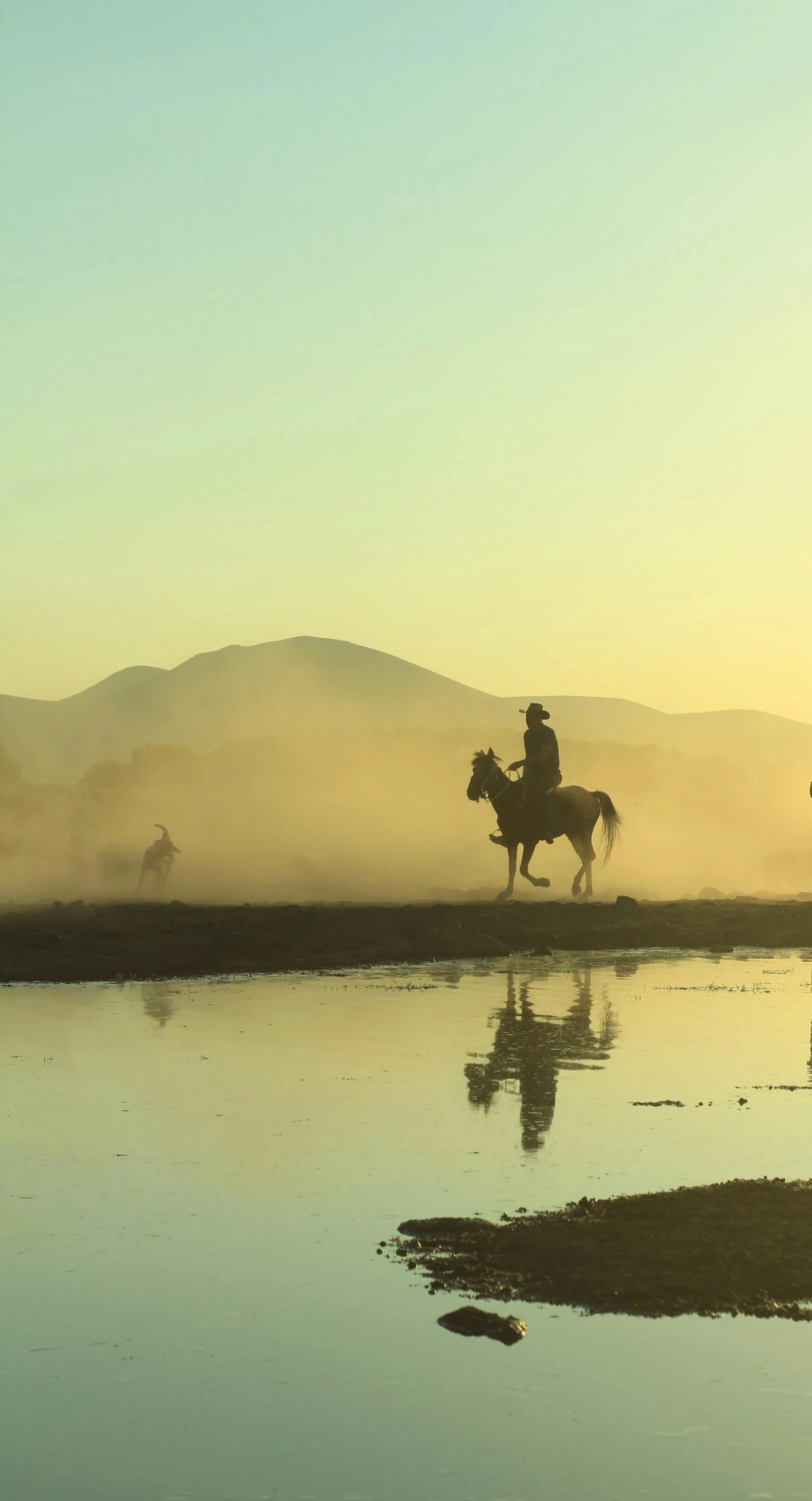 two horses and a person riding in the distance