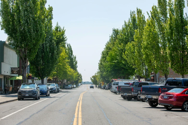 cars are parked on a deserted street lined with trees