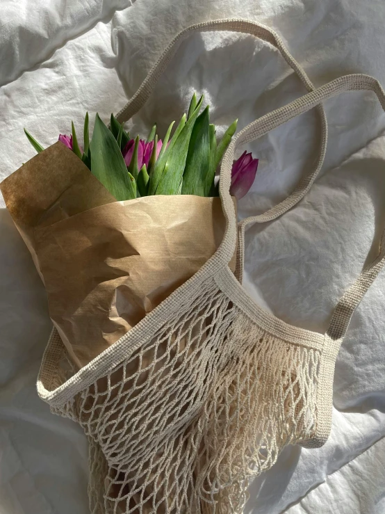 a bag with flowers inside and a net in it