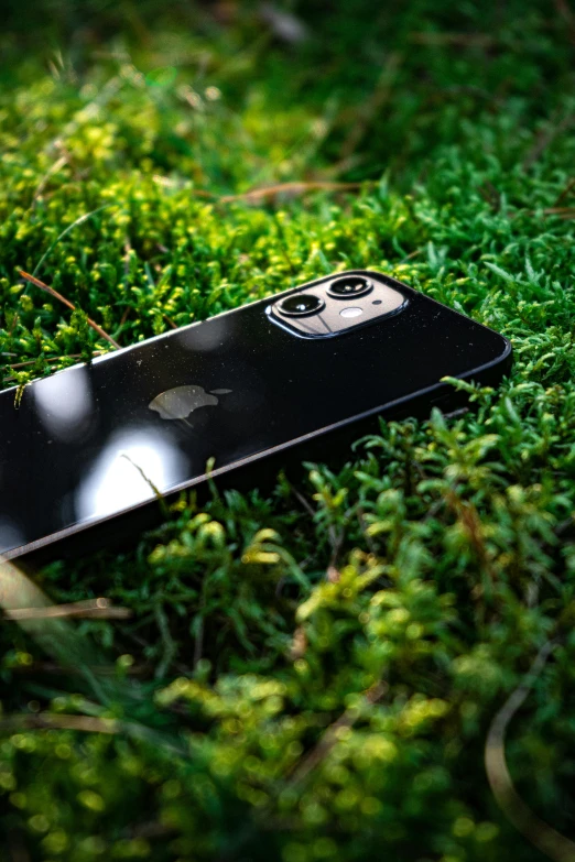 an apple iphone laying in the grass