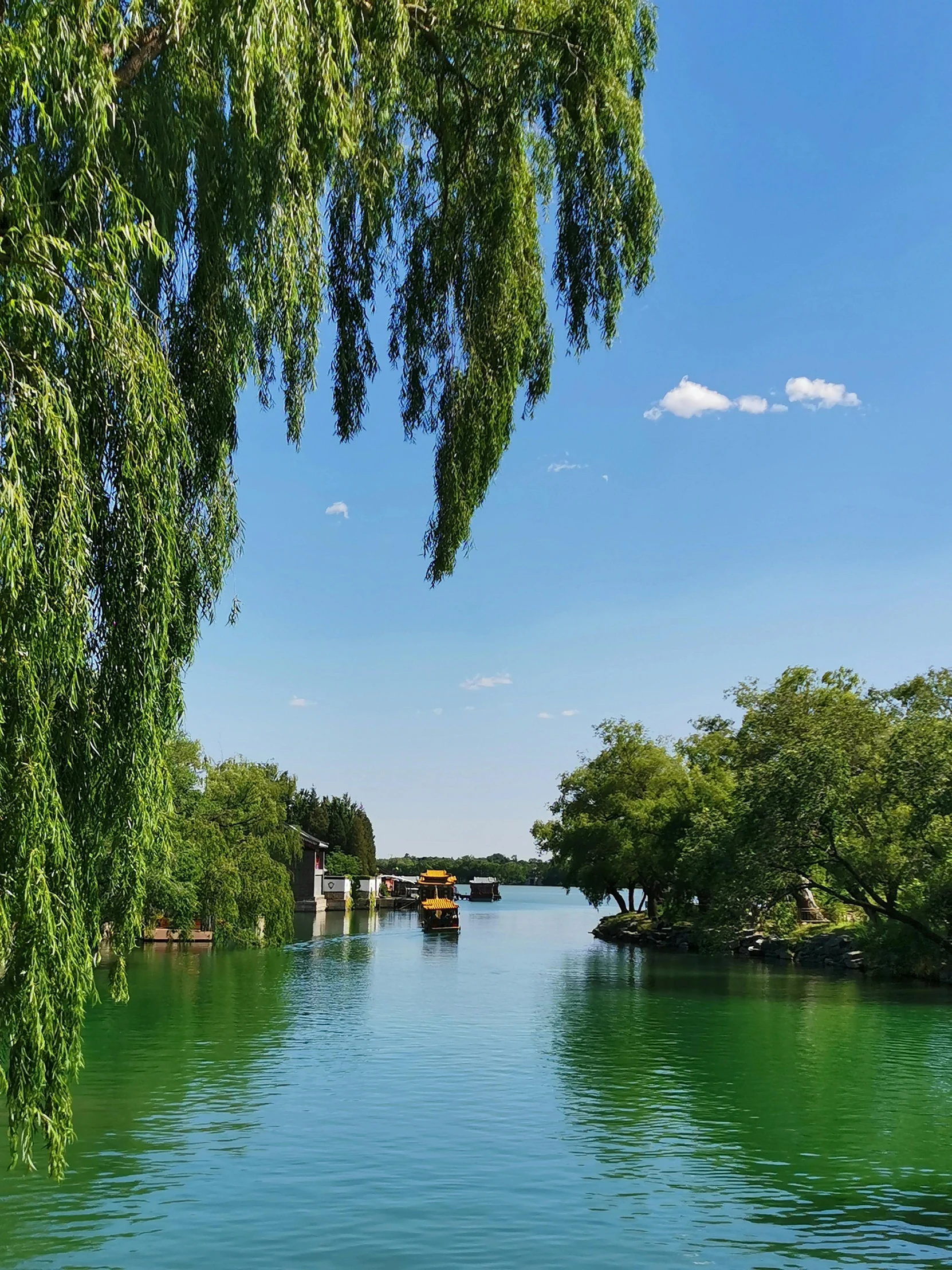 the water is very green near some trees