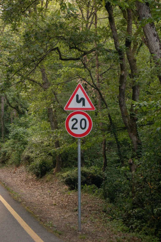 a sign on the side of the road shows the speed limit