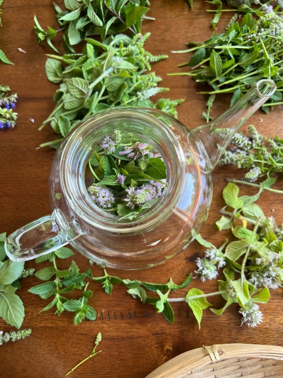 green plants and flowers sitting in an empty glass teapot on a wooden table